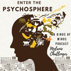 Enter the Psychosphere-logo