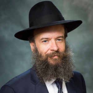 The Jewish Mind-logo