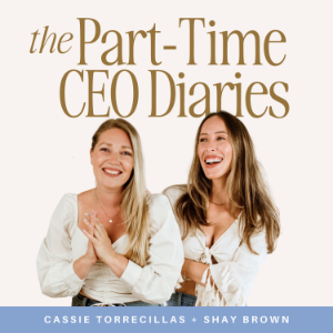 The Part-Time CEO Diaries-logo