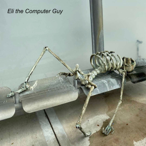 Eli the Computer Guy
