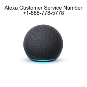 Alexa Customer Service Number-logo