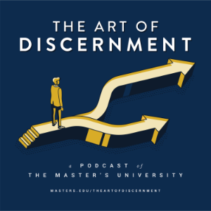 The Art of Discernment-logo