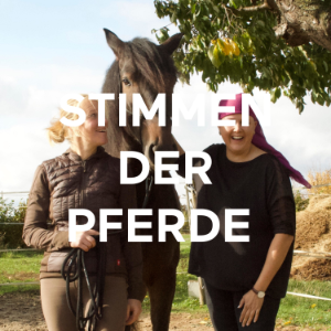 STIMMEN DER PFERDE-logo