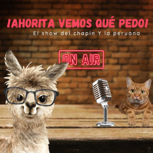 ¡Ahorita vemos que pedo!-logo