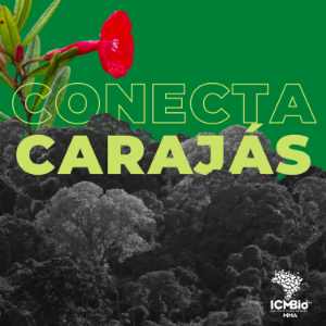 Conecta Carajas