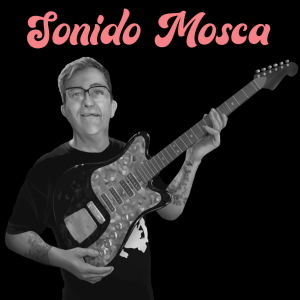 SONIDO MOSCA-logo