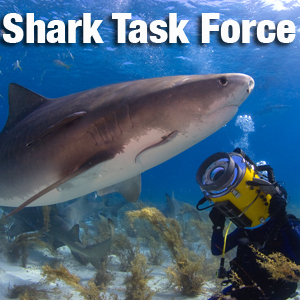 Shark Task Force-logo