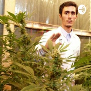 Medicina Natural Por Juan Velez-logo