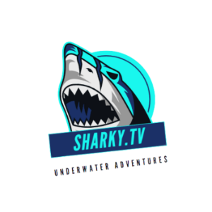 Sharky.TV-logo