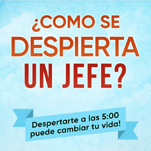 Como se despierta un jefe-logo
