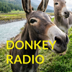 DONKEY RADIO-logo