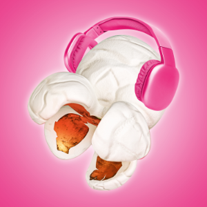 The Pink Popcast Podcast-logo