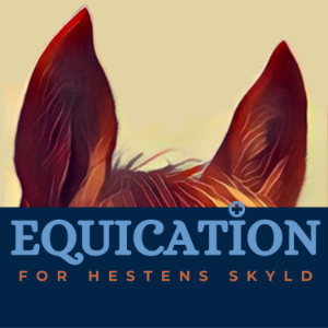 Equication-logo