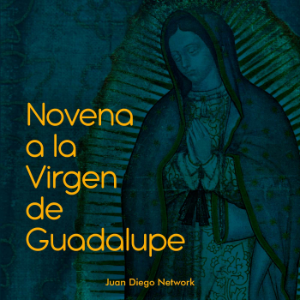 Novena a la Virgen de Guadalupe-logo