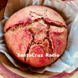 Santa Cruz Radio