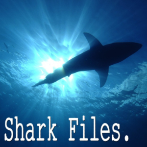 Shark Files-logo