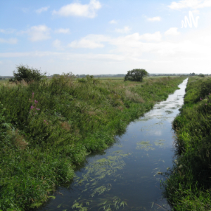 The Carrs Wetland Project-logo