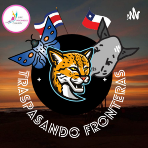 Traspasando Fronteras