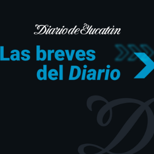El Diario informa-logo