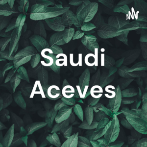 Saudi Aceves