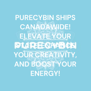 PURECYBIN SHIPS CANADAWIDE! ELEVATE YOUR STATE, ENHANCE YOUR CREATIVITY, AND BOOST YOUR ENERGY!-logo