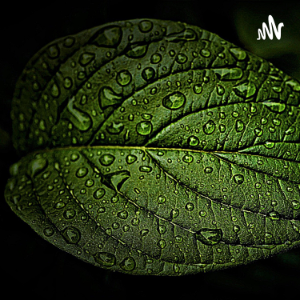 Som de chuva para Dormir, Relaxar, Meditar, Estudar-logo