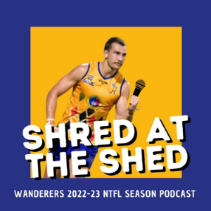 Shred at the Shed-logo