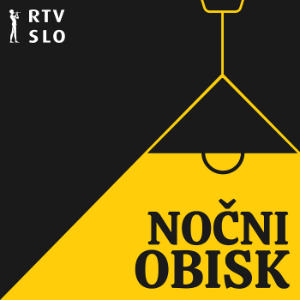 Nocni obisk-logo