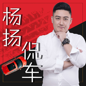 杨扬侃车-logo