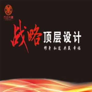 王冲-打破传统商业模式的战略顶层设计-logo