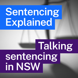 Sentencing Explained-logo