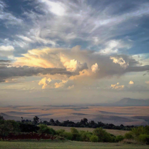 dikran’s Newsletter Podcast-logo