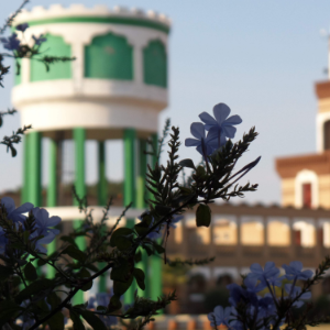 Mufti Mohammed Desai Saheb ؒ-logo
