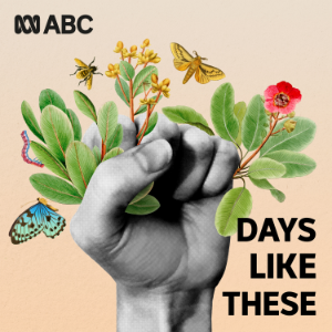 INTRODUCING — The Weather That Changed Us