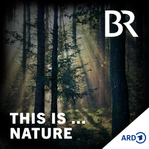 This Is Nature-logo