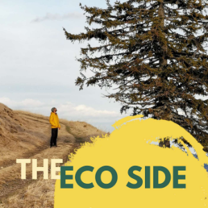 The Eco Side-logo