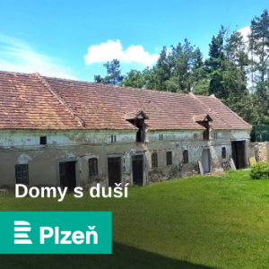 Domy s dusi-logo