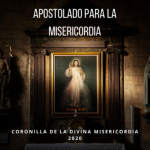Apostolado para la Divina Misericordia-logo