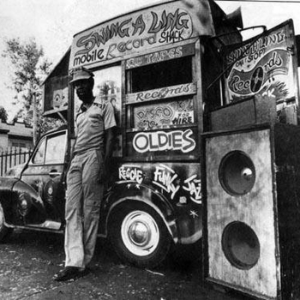Dub Reggae International-logo