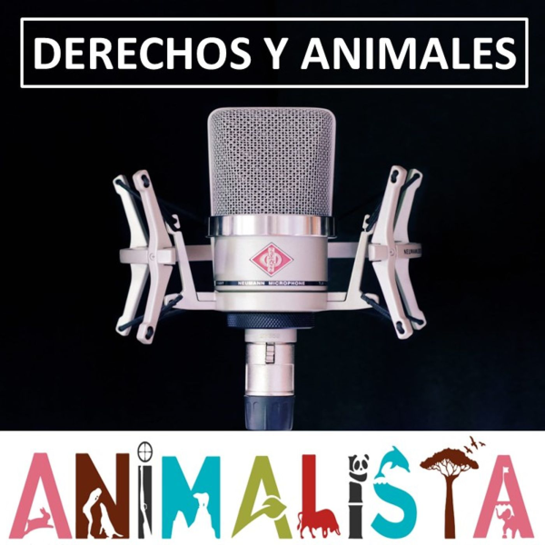 DERECHOS y ANIMALES Listen to Podcasts On Demand Free TuneIn