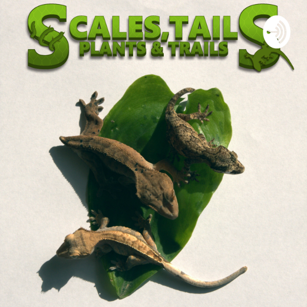 Scales, tails, plants and trails Listen to Podcasts On Demand Free