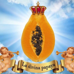 La divina papaya-logo