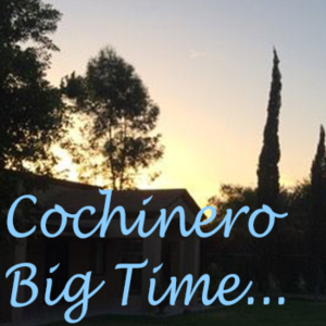Cochinero Big Time Podcast-logo