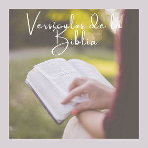 Versiculos de la Biblia en espanol-logo