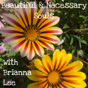 Beautiful & Necessary Souls with Brianna Lee-logo