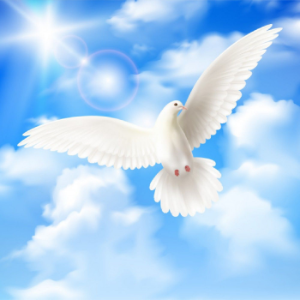 Celestial Stereo-logo