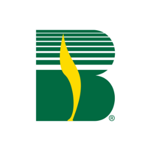 Beck's Hybrids-logo