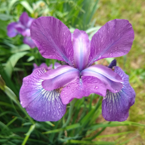 Updates From The Middle Of Nowhere-logo