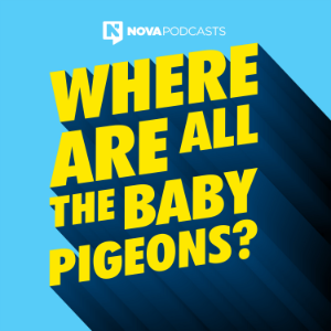 Where Are All The Baby Pigeons?-logo