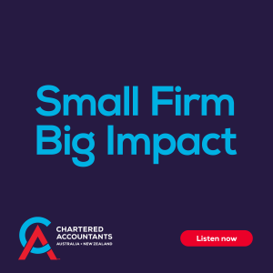 Small Firm, Big Impact-logo